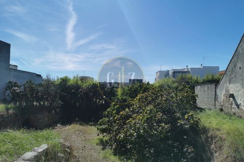 Terra a Calimera, Lecce, Calimera - € 85.000 | Ref: SE008 - foto 7